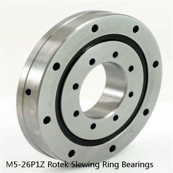 M5-26P1Z Rotek Slewing Ring Bearings