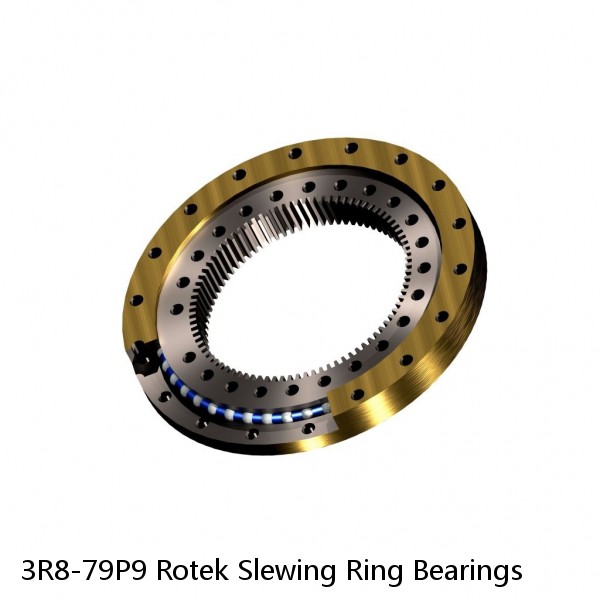 3R8-79P9 Rotek Slewing Ring Bearings