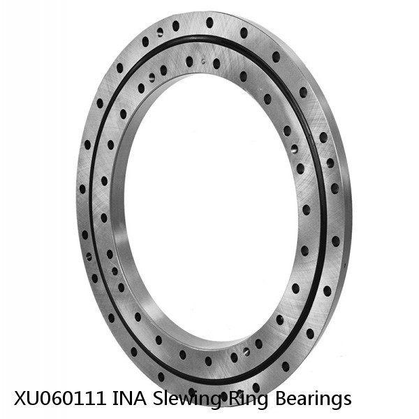 XU060111 INA Slewing Ring Bearings