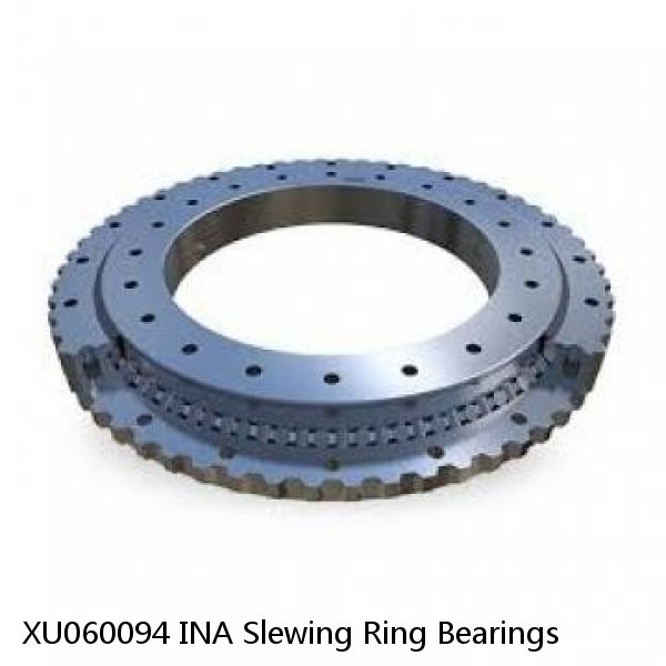 XU060094 INA Slewing Ring Bearings