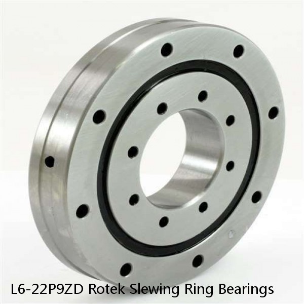 L6-22P9ZD Rotek Slewing Ring Bearings