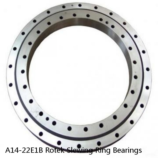 A14-22E1B Rotek Slewing Ring Bearings