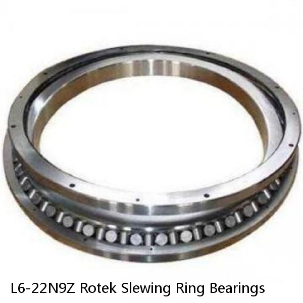 L6-22N9Z Rotek Slewing Ring Bearings