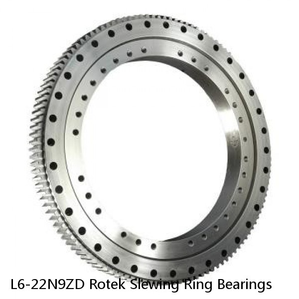 L6-22N9ZD Rotek Slewing Ring Bearings