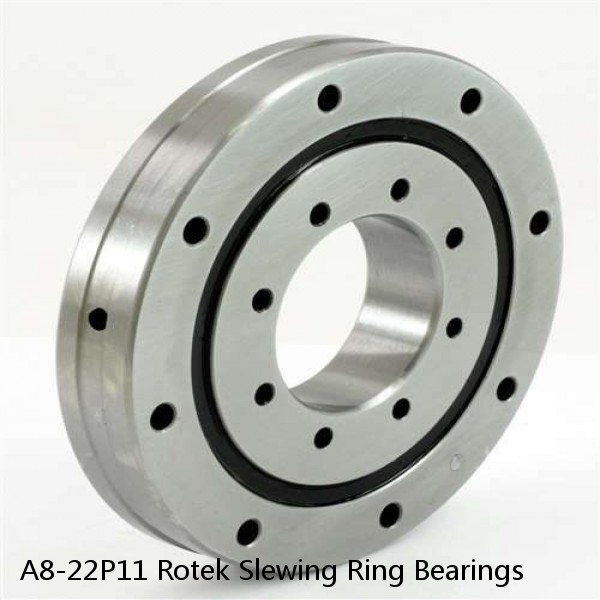 A8-22P11 Rotek Slewing Ring Bearings