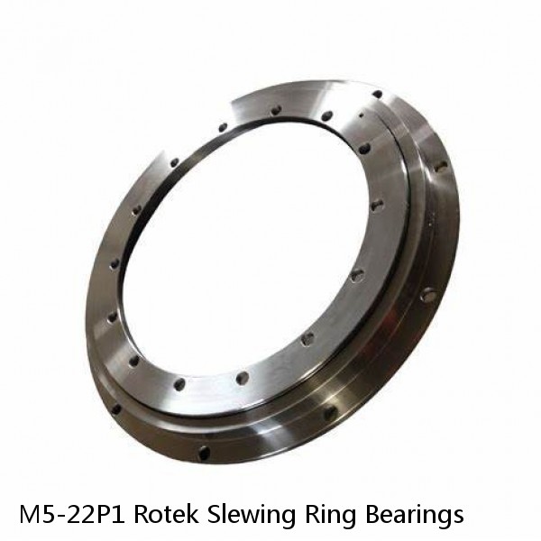 M5-22P1 Rotek Slewing Ring Bearings