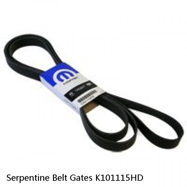 Serpentine Belt Gates K101115HD